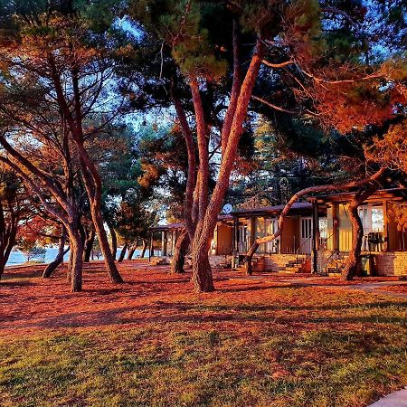 Family Bungalow Pineta Novigrad  Exterior photo