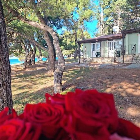 Family Bungalow Pineta Novigrad  Exterior photo