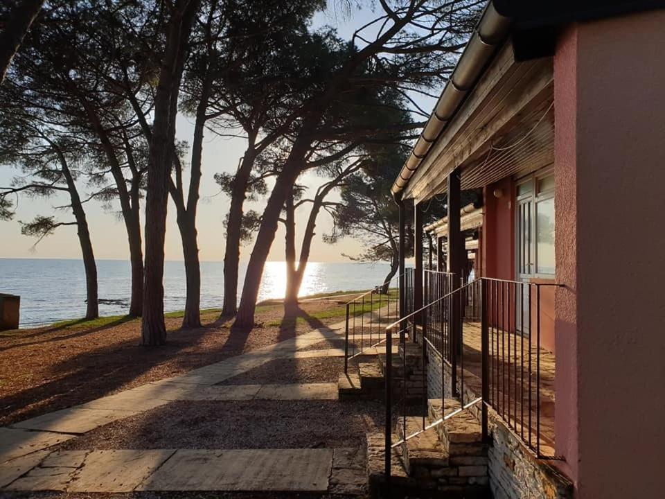 Family Bungalow Pineta Novigrad  Exterior photo