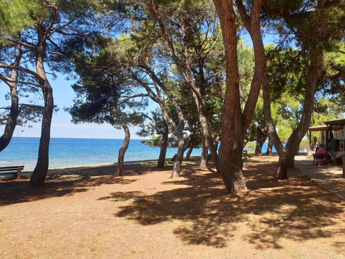 Family Bungalow Pineta Novigrad  Exterior photo