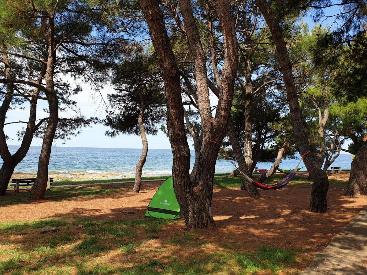 Family Bungalow Pineta Novigrad  Exterior photo