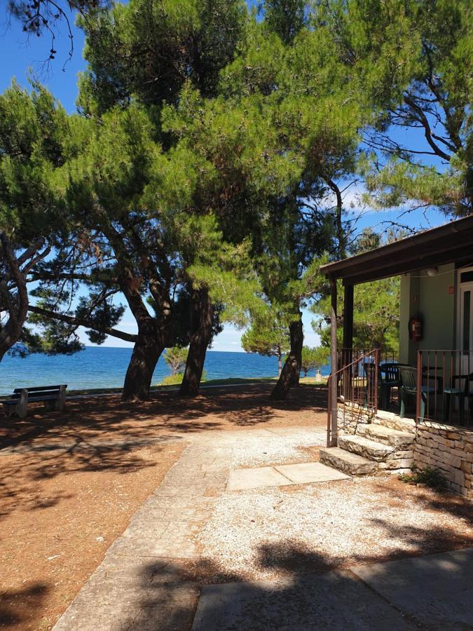 Family Bungalow Pineta Novigrad  Exterior photo
