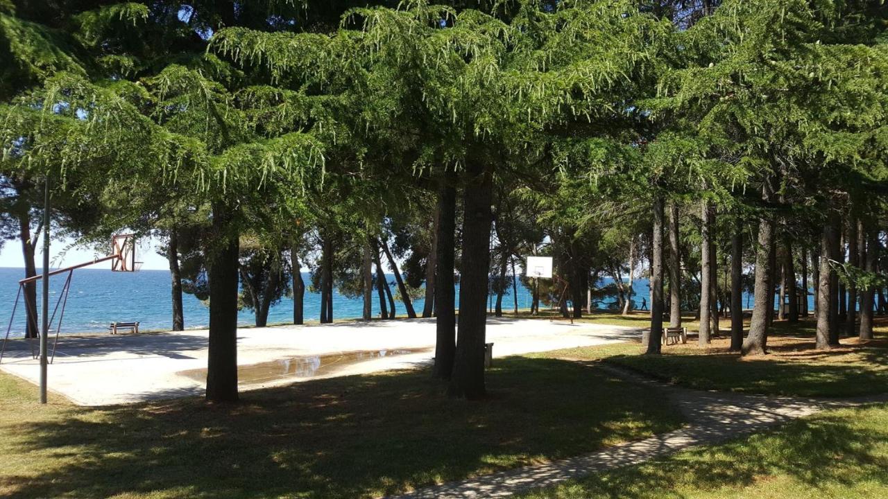 Family Bungalow Pineta Novigrad  Exterior photo