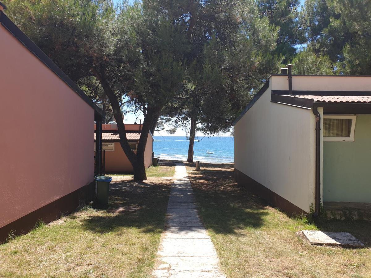 Family Bungalow Pineta Novigrad  Exterior photo