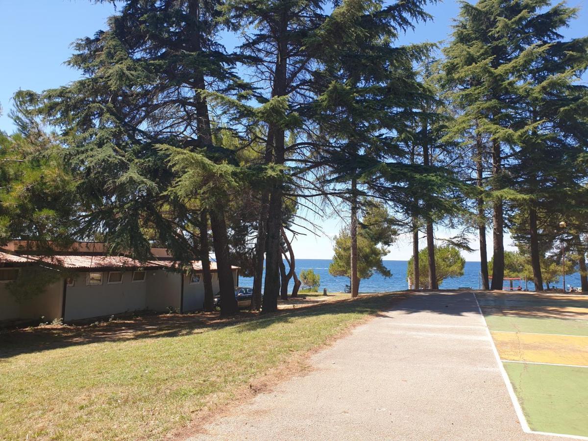 Family Bungalow Pineta Novigrad  Exterior photo