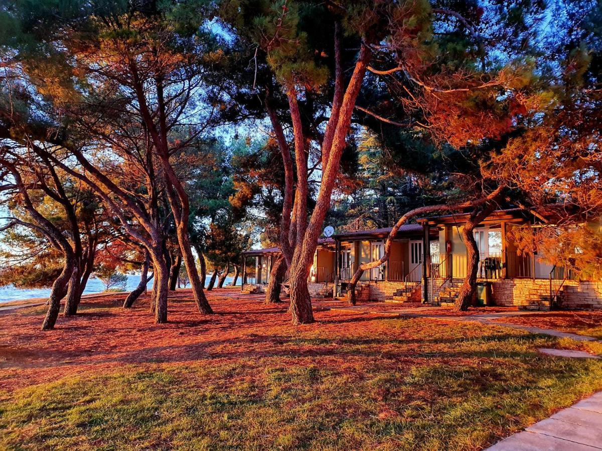 Family Bungalow Pineta Novigrad  Exterior photo