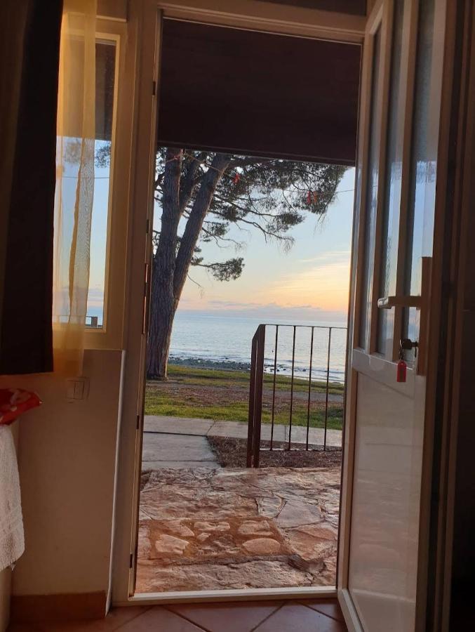 Family Bungalow Pineta Novigrad  Exterior photo