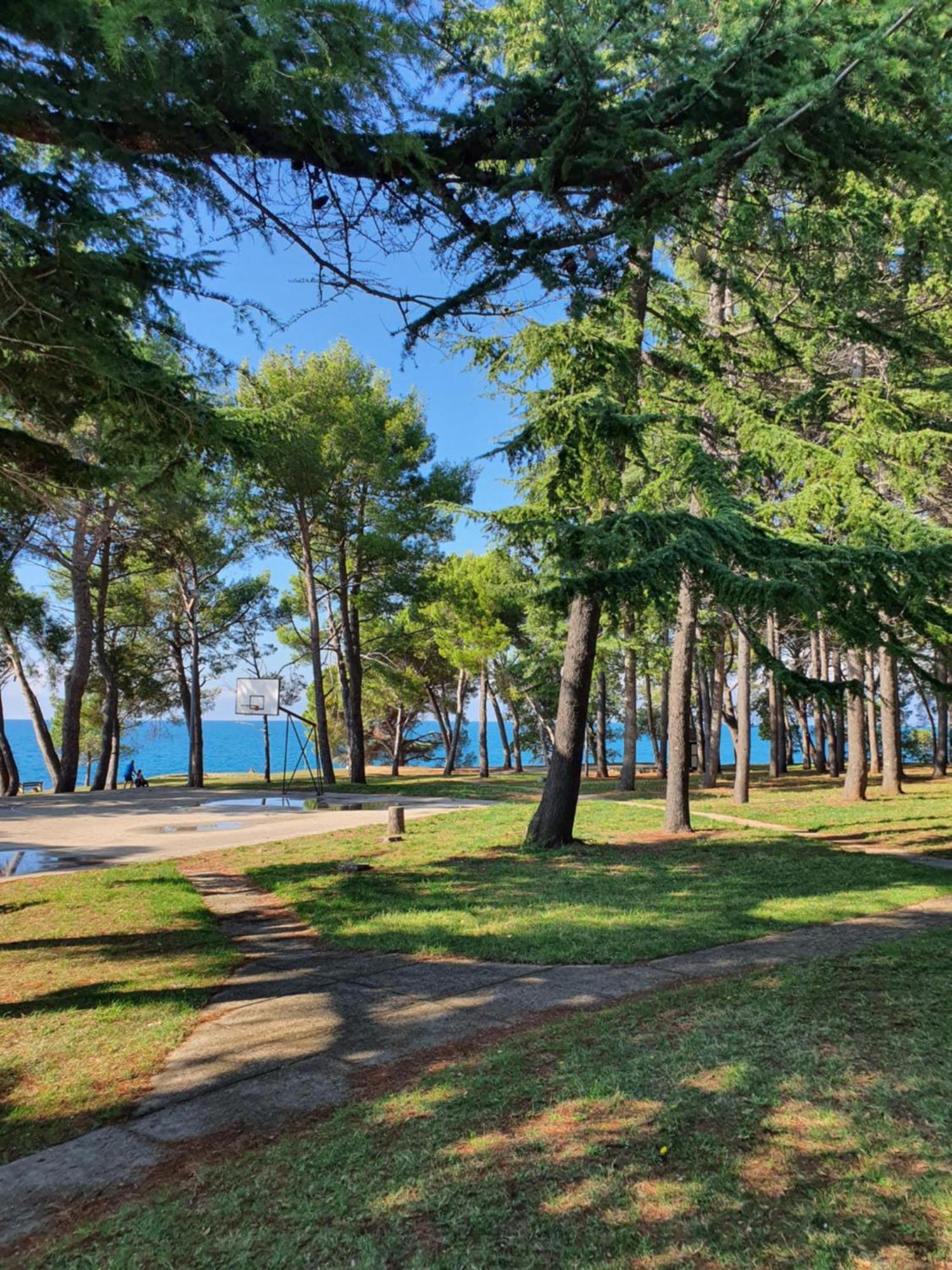 Family Bungalow Pineta Novigrad  Exterior photo
