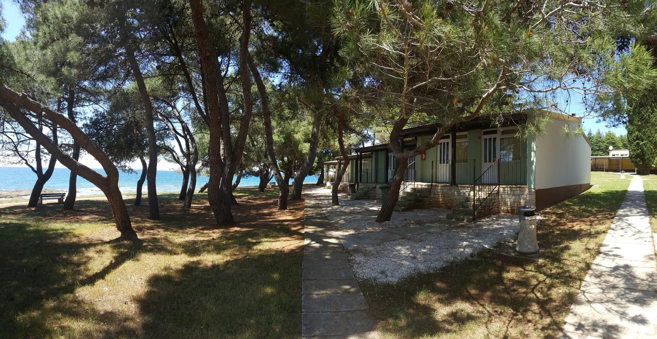 Family Bungalow Pineta Novigrad  Exterior photo