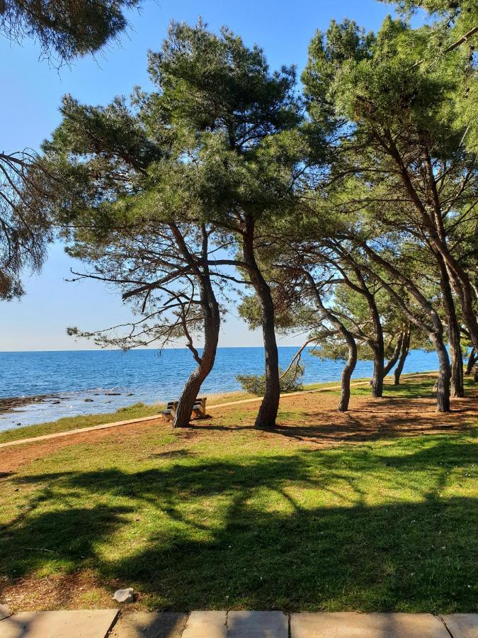 Family Bungalow Pineta Novigrad  Exterior photo