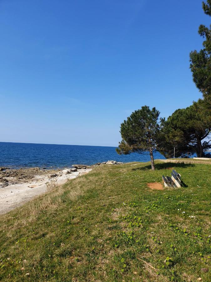 Family Bungalow Pineta Novigrad  Exterior photo