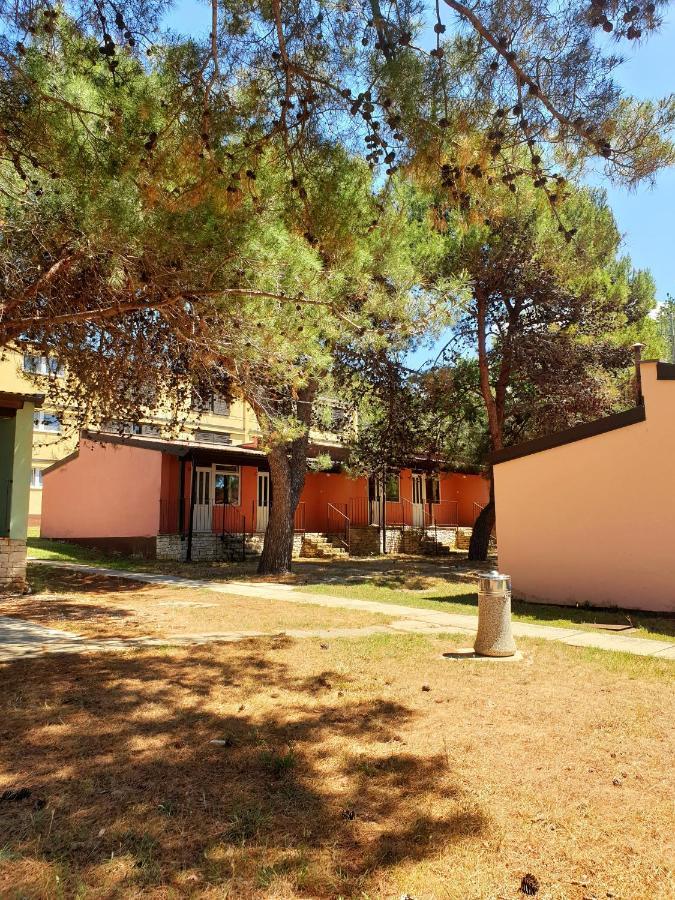Family Bungalow Pineta Novigrad  Exterior photo