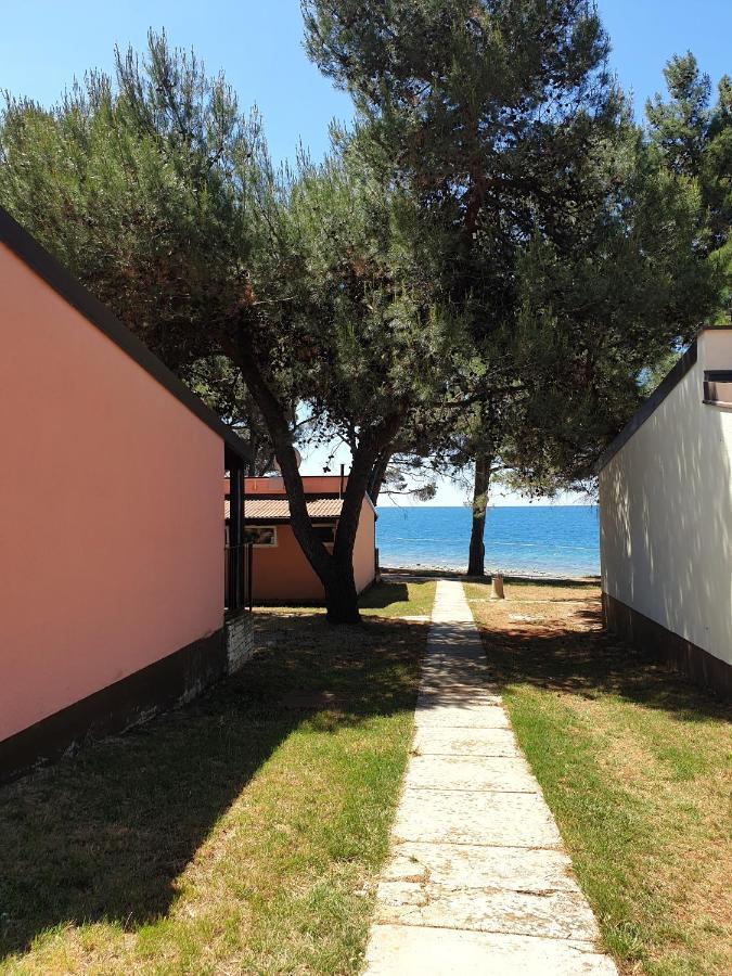 Family Bungalow Pineta Novigrad  Exterior photo